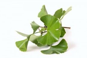 ginkgo biloba pentru marirea penisului